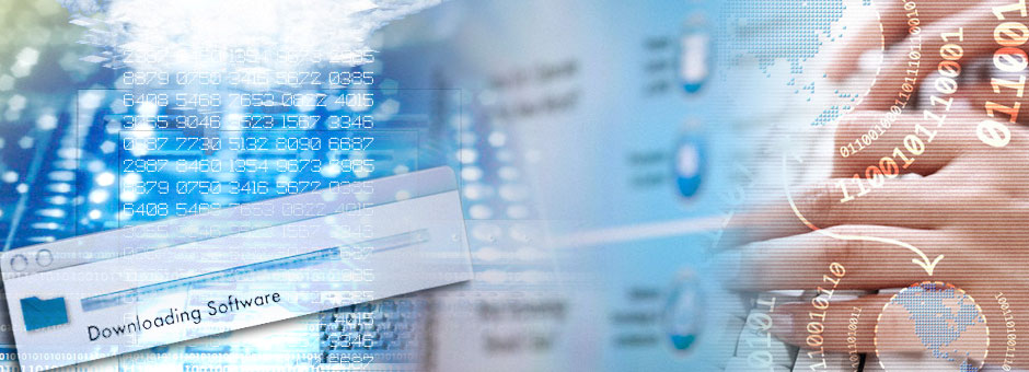 Customization Service